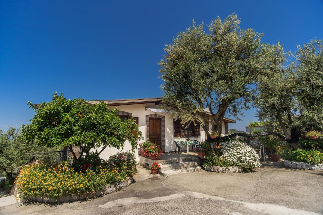 Villa Mattia In The Land Of Sirens Sant'Agata sui due Golfi Exterior photo
